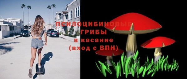 бошки Арсеньев