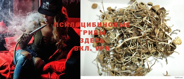не бодяженный Аркадак